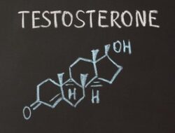 Paksu Perlu Tahu! Ini 5 Hidangan yang Bisa Bikin Hormon Testosteron ‘Anjlok’