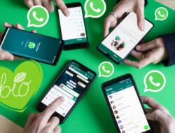 Cara Sadap WhatsApp hanya Bersama Nomor HP Tanpa Gadget Lunak