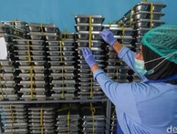 Kepala Terbaru BGN Setop 833 Dapur MBG, Ini Hukuman Politik Tegasnya