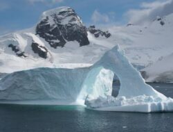 Hilangnya Es Untuk Skala Besar Hingga Greenland dan Antartika
