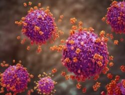 H1N1Pdm09 Mendominasi, ‘Super Flu’ Ada Ke 13 Provinsi