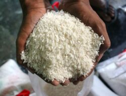 Mitigasi Dampak El Nino, Dukungan Beras Lanjut hingga Desember 2026